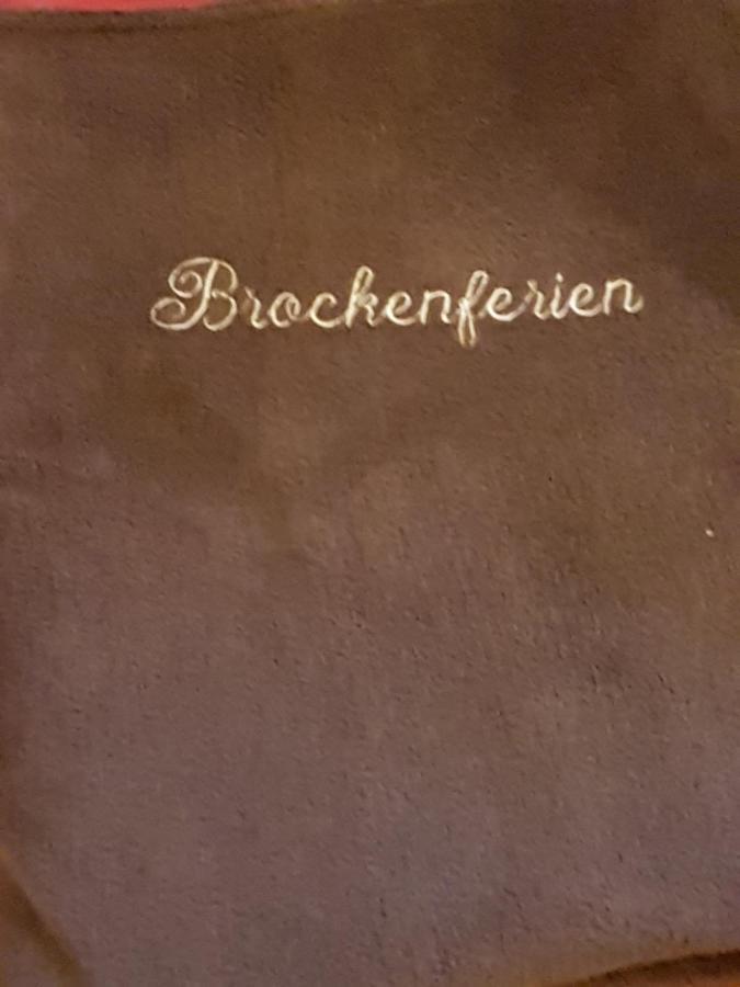 Brockenferien Διαμέρισμα Bad Harzburg Εξωτερικό φωτογραφία
